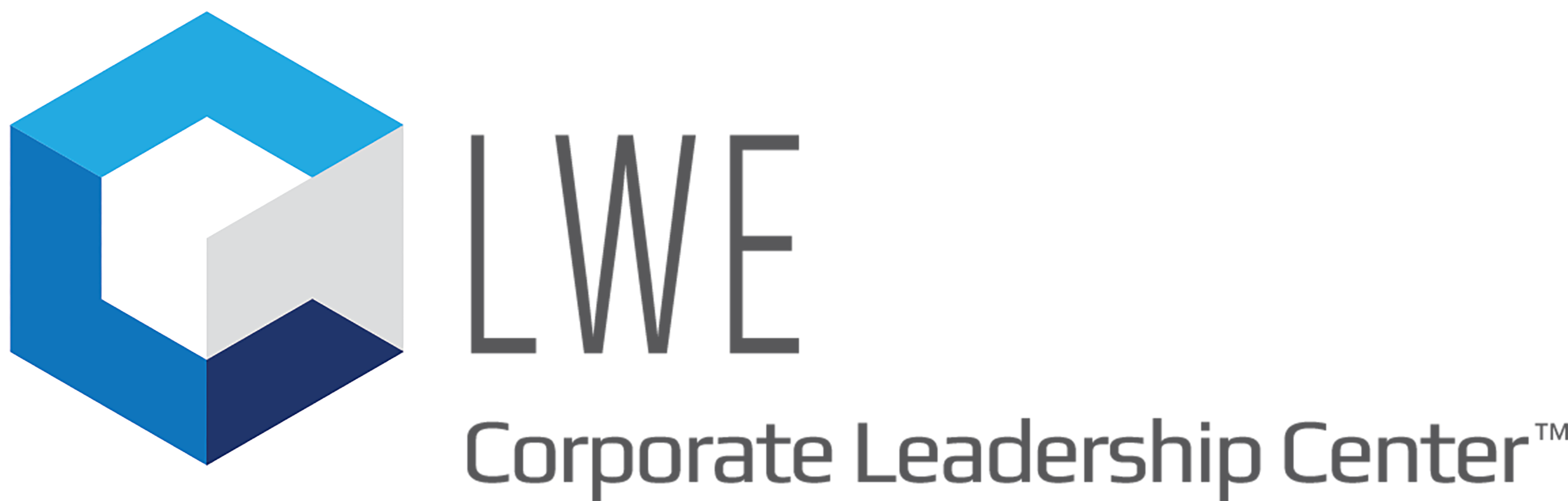 TALL-LWE initial only Logo ColorCube GrayType with TM